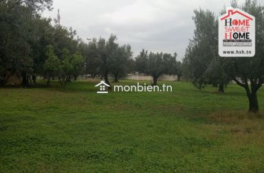 Ferme EL Baha à Vendre à Mornag