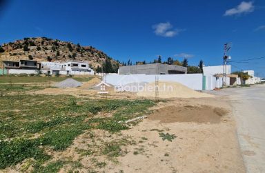 51355351للبيع أرض صبغة سكنية في الحمامات الجنوبية