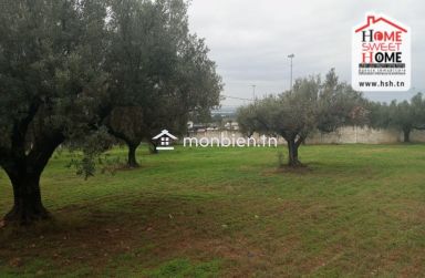 Ferme EL Baha à Vendre à Mornag