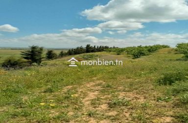🌿 Ferme à vendre – 8,5 hectares