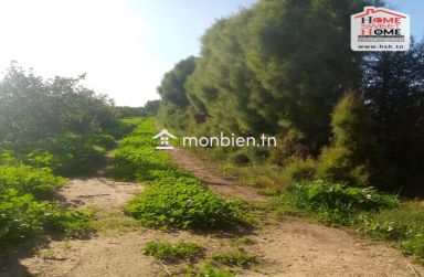 Terrain Agricole Sérénité à Vendre à Menzel Bouzelfa