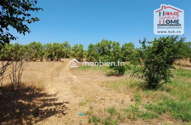 Terrain Agricole Zied à vendre à Nabeul