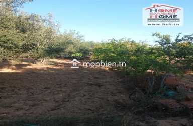 Terrain agricole Ecovera à vendre à Sousse