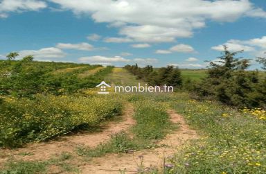 🌿 Ferme à vendre – 8,5 hectares