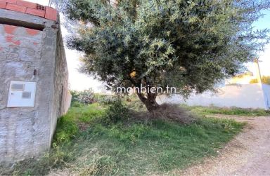 Lot de terrain de 250 m² à Hammamet à vendre 51355351