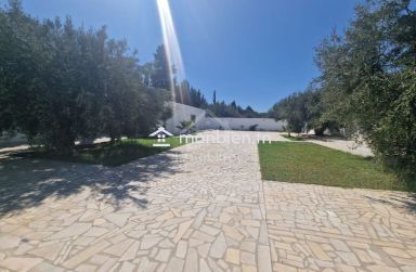 Spacieuse maison S+2 à Hammamet Sud à vendre 51355351