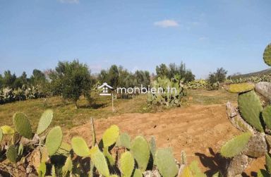 Terrain de 1932 m² à Birbouragba à vendre 51355351