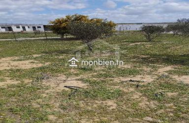 Un lot de terrain de 500 m² à vendre à 55 MD à Hammamet Sud 51355351