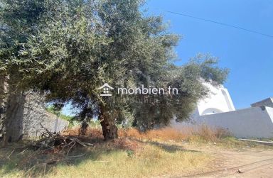 Lot de terrain de 250 m² à Hammamet à vendre 51355351