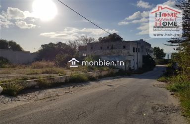 Terrain Porto rico à Vendre à  Amilcar