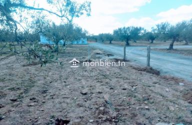 Terrain de 220 m² à KM71 à vendre 51355351