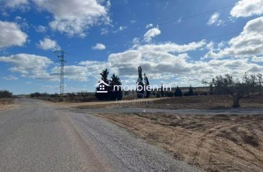 Terrain à Hammamet Sud à vendre 51355351