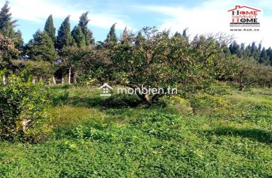 Terrain Agricole Florésia à Vendre à Menzel Bouzalfa