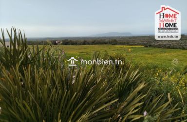 Terrain Agricole Chema à Vendre à Hammem Ghzez