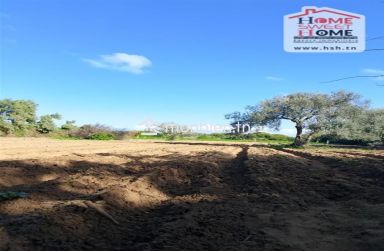 Terrain agricole Silva à vendre à Hammam Ghezèze