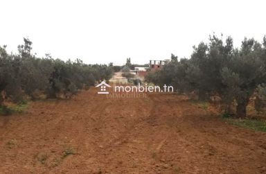 Terrain de 1000 m² à vendre à 200 MD à Hammamet Sud 51355351
