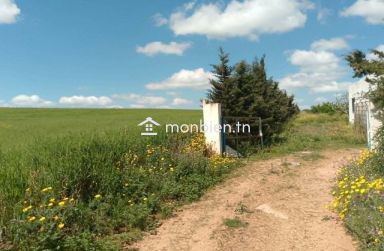 🌿 Ferme à vendre – 8,5 hectares