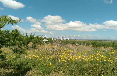 🌿 Ferme à vendre – 8,5 hectares