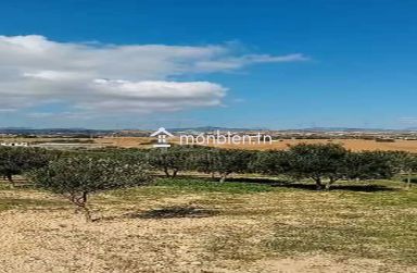 Terrain de 400 m² avec vue de mer à Hammamet Sud à vendre 51355351