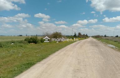 📍 À vendre terrain situé à Chaouat (Manouba)