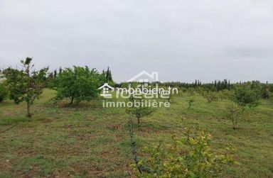 Verger d’exception à Borj Hfaïedh – Une adresse rare entre Bouargoub et Hammamet