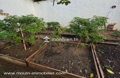 Villa Les 3 Palmiers AL3522 Hammamet