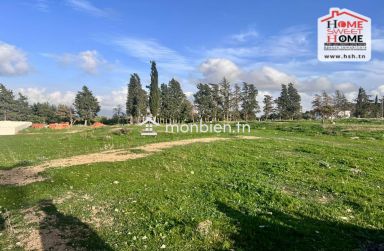 Terrain Santal à Vendre à Zaghouan