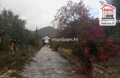 Ferme EL Baha à Vendre à Mornag