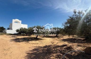 Terrain Aziz à Hammamet Nord