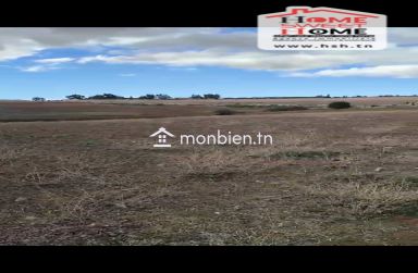 Terrain Agricole Haiza à Vendre à Kef