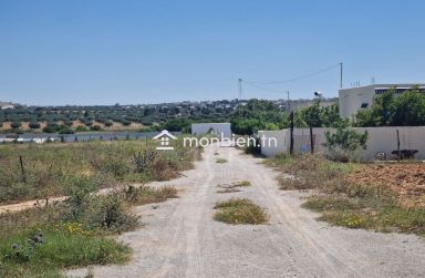 Terrain de 4000 m² à vendre à 100 MD à Hammamet Sud 51355351