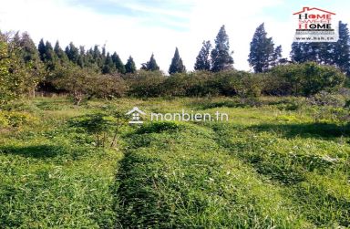 Terrain Agricole Florésia à Vendre à Menzel Bouzalfa