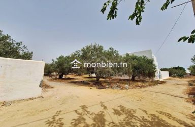 Terrain de 376 m² à vendre à manaret Hammamet 51355351