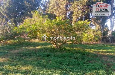 Terrain agricole Oraniva à vendre à Menzel Bouzelfa