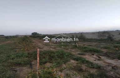 Terrain clôtuiré de 13337 m² à Béni Khiar à vendre 51355351