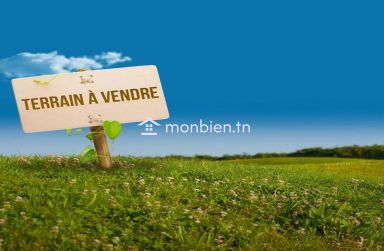 5 ha à 200 m a la palge