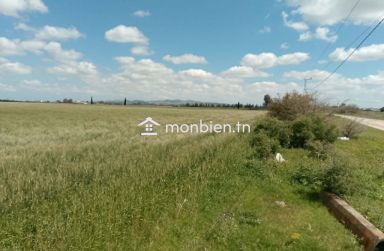 📍 À vendre terrain situé à Chaouat (Manouba)