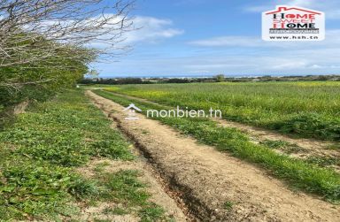 Terrain Agricole Karay à Vendre à Hammem Ghzez