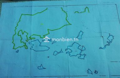 Terrain agricole de 730 ha à 5000 TND le ha