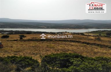 Terrain Agricole Chouour à Vendre à Takelsa