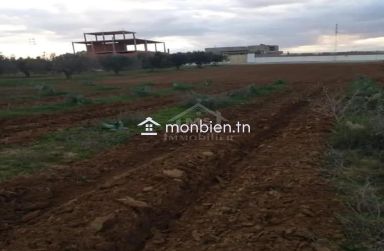 Terrain de 1000 m² à birbouragba à vendre 51355351