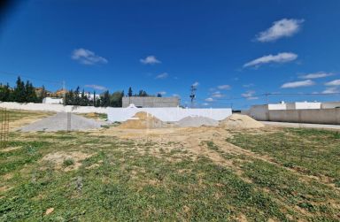 51355351للبيع أرض صبغة سكنية في الحمامات الجنوبية