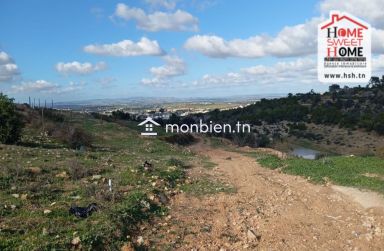 Terrain Habitation Meziane à Vendre à Nahli