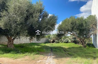 Lot de terrain de 250 m² à Hammamet à vendre 51355351