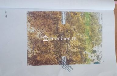 en vente un terrain agricole