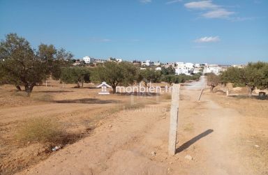 Terrain de 400 m² avec vue de mer à Hammamet Sud à vendre 51355351