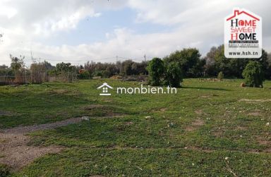 Terrain Promoteur Dario à Vendre à Borj Touil