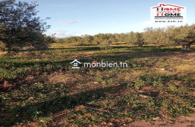 Terrain Agricole Erraja à Vendre à Zaghouan