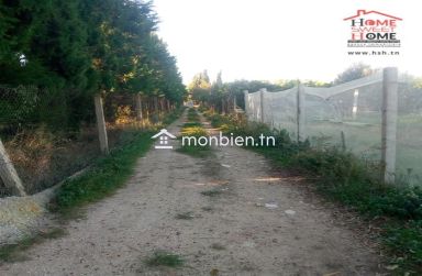 Terrain agricole Oraniva à vendre à Menzel Bouzelfa