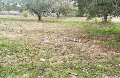 Terrain de 850 m² à vendre à Hammamet Sud 51355351